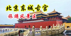 肉丝骚逼日本中国北京-东城古宫旅游风景区